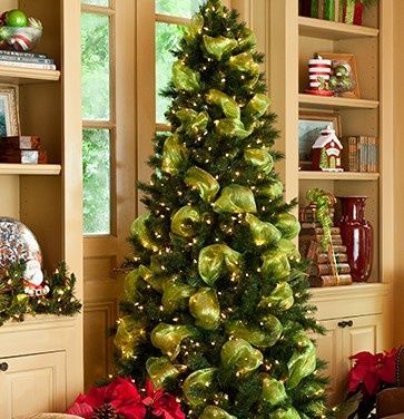 Vánoční stromek  - 