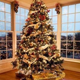 Obdivujete krásné a pravidelné vánoční stromečky ? Víme, jak vznikají. (video)