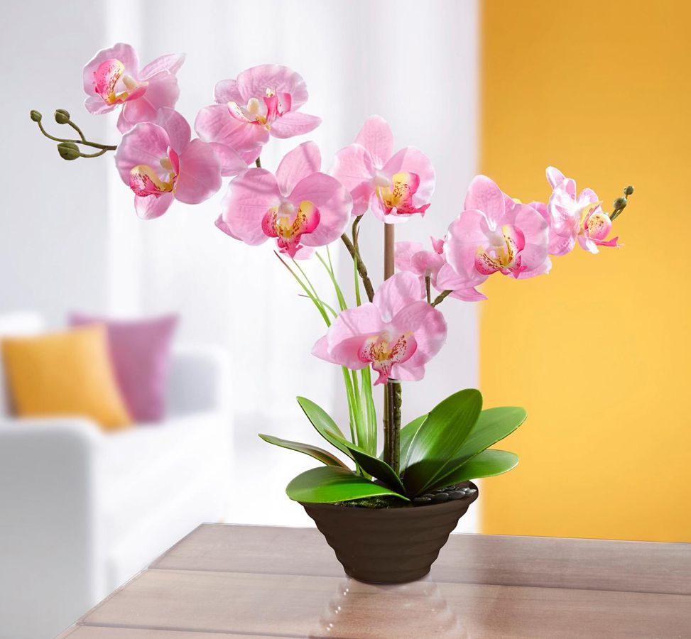 Die moderne Hausfrau Dekorační orchidej - Velký Košík