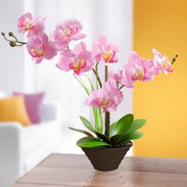 Die moderne Hausfrau Dekorační orchidej Velký Košík