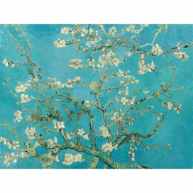 Reprodukce obrazu Vincenta van Gogha - Almond Blossom, 40 x 30 cm Bonami.cz