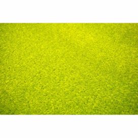Vopi | Kusový zelený koberec Eton - 1 m2 s obšitím