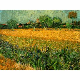 Reprodukce obrazu Vincenta van Gogha - View of arles with irises in the foreground, 40 x 30 cm Bonami.cz