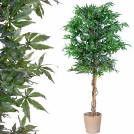 PLANTASIA Umělá rostlina strom - konopí - 150 cm