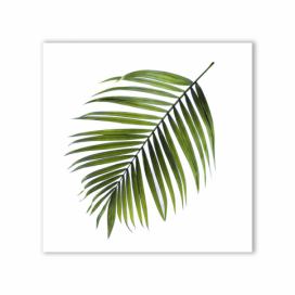 Obraz Styler Canvas Greenery Black Palm, 32 x 32 cm GLIX DECO s.r.o.