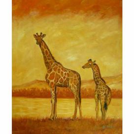 Obraz - Dvě žirafy FORLIVING