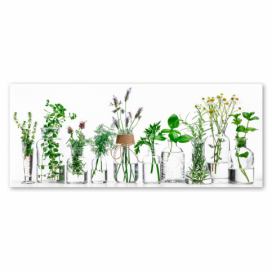 Obraz Styler Glasspik Herbs, 30 x 80 cm Bonami.cz