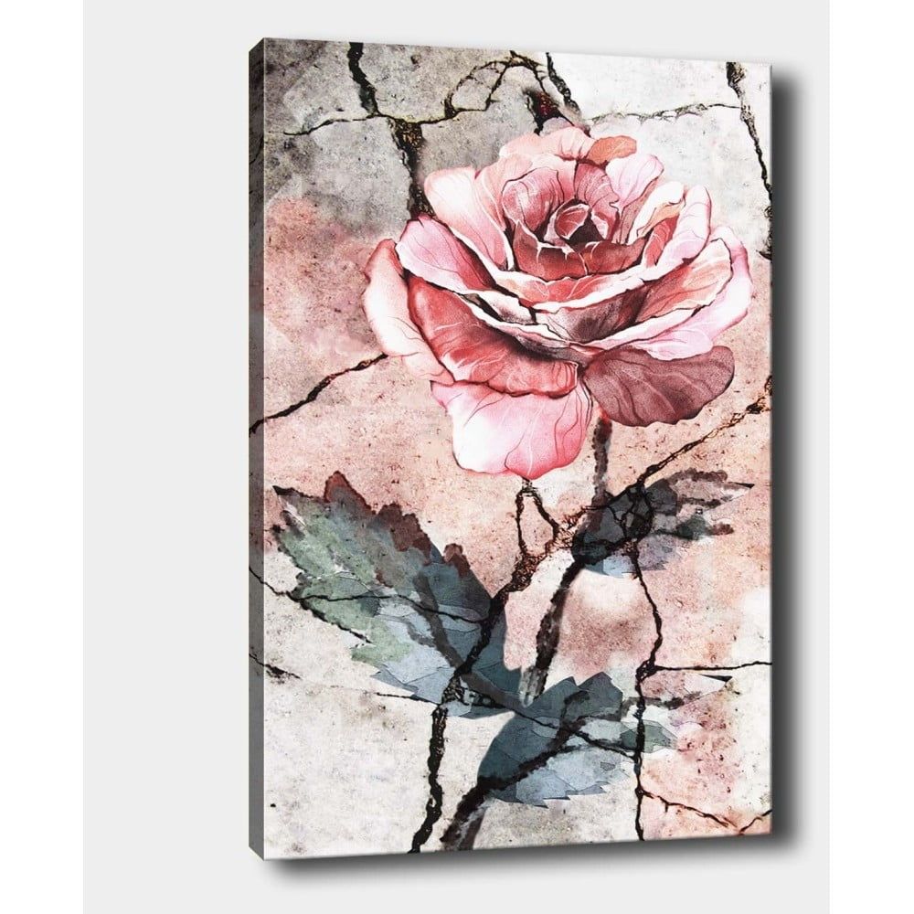Nástěnný obraz na plátně Tablo Center Rose, 40 x 60 cm - Bonami.cz