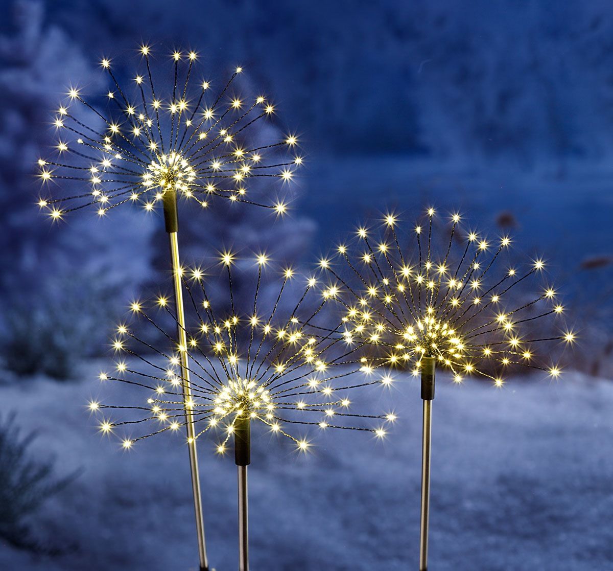 Weltbild LED Zahradní zápich Magické květy, 3 ks - Velký Košík