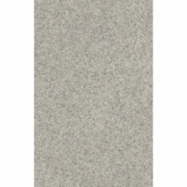 Vesna | PVC podlaha LION 696 D, šíře 400 cm (cena za m2)