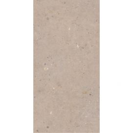 Dlažba Pastorelli Biophilic greige 60x120 cm mat P009417 (bal.1,440 m2) Siko - koupelny - kuchyně