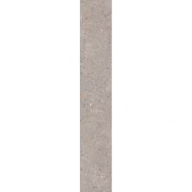 Dlažba Pastorelli Biophilic grey 20x120 cm mat P009526 (bal.1,200 m2)