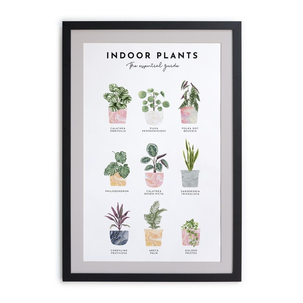 Nástěnný obraz v rámu Really Nice Things Indoor Plants, 30 x 40 cm - Bonami.cz