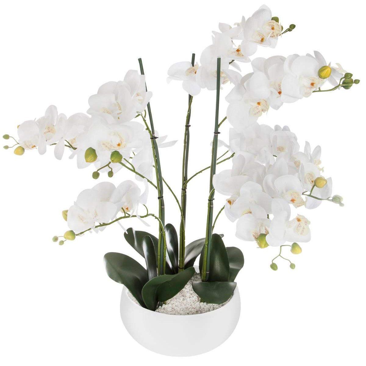 Atmosphera Umělá rostlina, umělá orchidej, bílý květináč, 65 cm - EMAKO.CZ s.r.o.