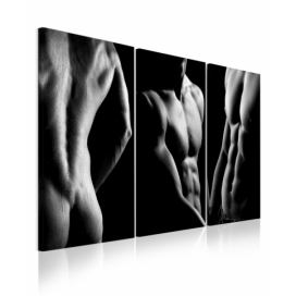 Třídílný obraz mužský akt Velikost (šířka x výška): 60x40 cm