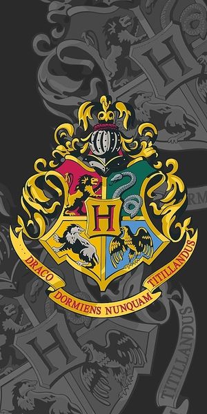 Bavlněná dětská osuška 70x140 cm Harry Potter – Jerry Fabrics - POVLECENI-OBCHOD.CZ