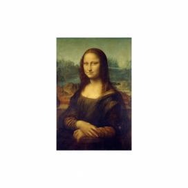 Reprodukce obrazu 40x60 cm Mona Lisa - Fedkolor Bonami.cz