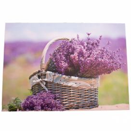 Obraz na plátně s levandulí Provence, 30 x 40 cm 4home.cz