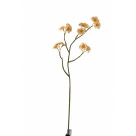 Větvička s béžovými květy Tweedia - 7*10*51 cm J-Line by Jolipa