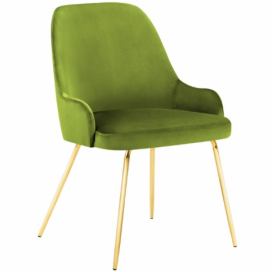 Zelená sametová jídelní židle MICADONI CADIZ