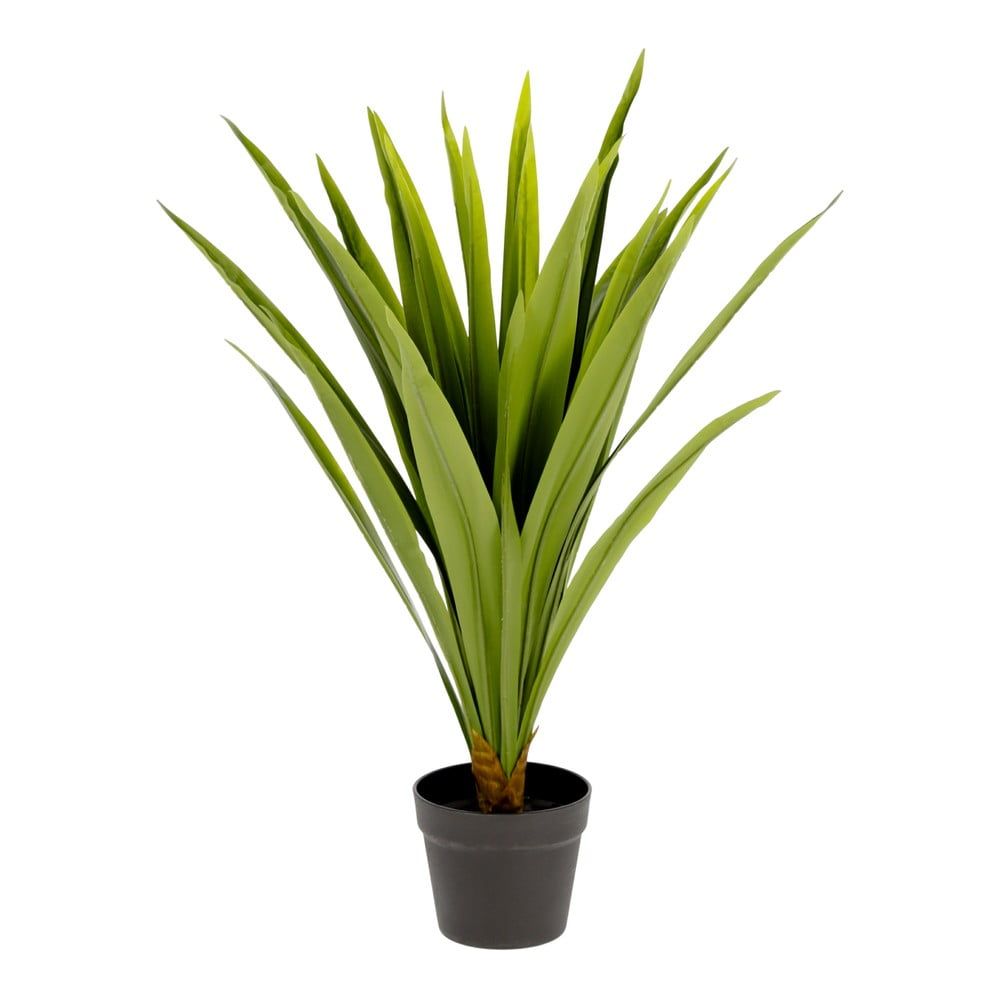 Umělá rostlina (výška 80 cm) Yucca – Kave Home - Bonami.cz