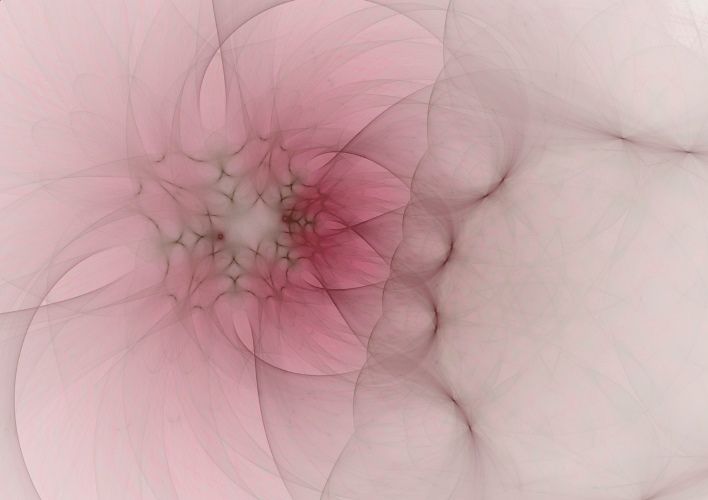 Obraz Rica Belna Graphic Flowers 4 - DESIGNPROPAGANDA