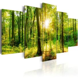 Pětidílný obraz kouzlo lesa + háčky a hřebíčky ZDARMA Velikost (šířka x výška): 100x50 cm