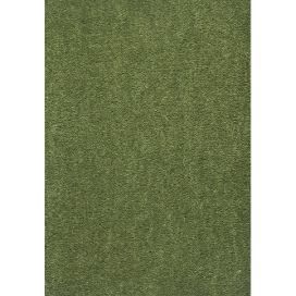 Lano - koberce a trávy Neušpinitelný kusový koberec Nano Smart 591 zelený - 60x100 cm Mujkoberec.cz