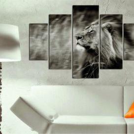 Wallity Vícedílný obraz RUNNING LION 205 92 x 56 cm Houseland.cz