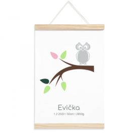 Pieris design Plakát k narození holčičky - Sovička