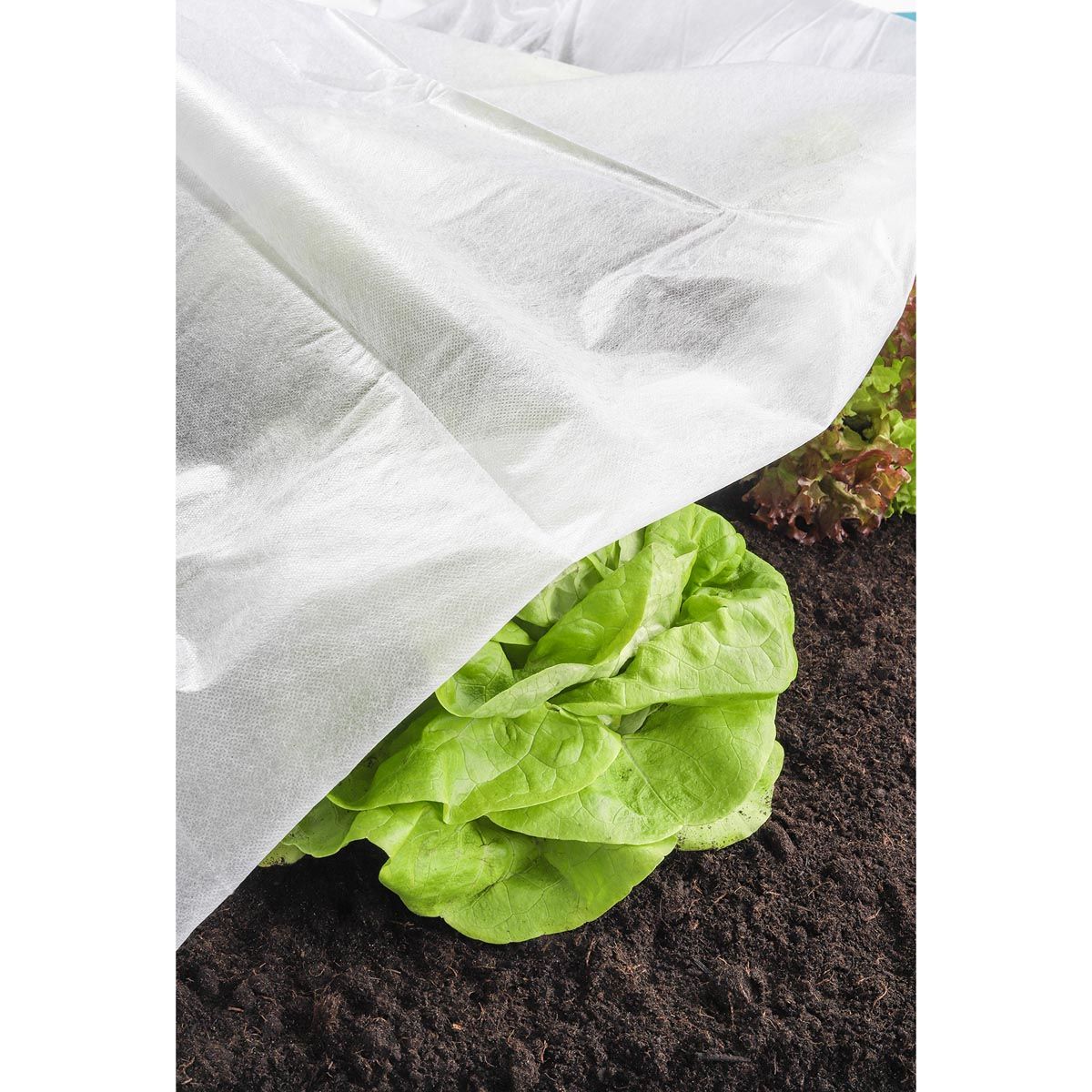Haushalt international Netkaná textilie na ochranu rostlin, bílá, 5 m - Velký Košík