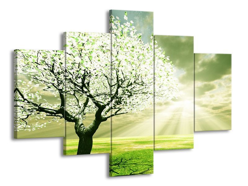 Vícedílný obraz Paprsky slunce a strom 111x80 - LEDobrazy.cz
