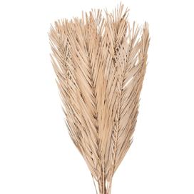 Béžová sušená květina tráva - 100 cm (15ks) Clayre & Eef